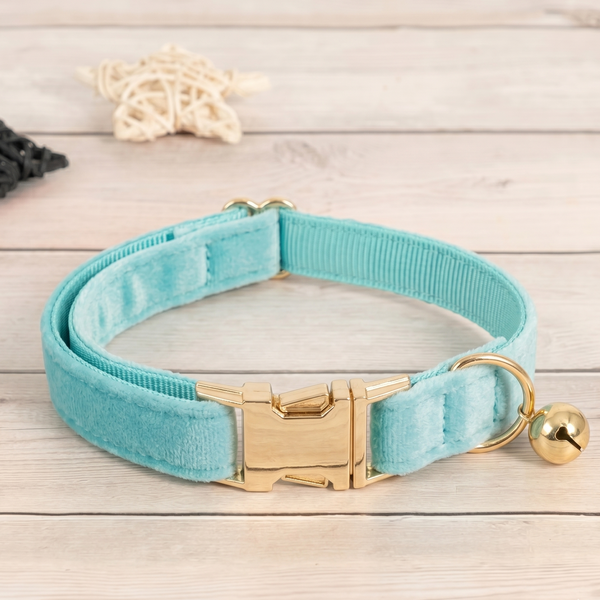 Collier chat et petit chien en velours turquoise avec boucle dorée personnalisable et grelot doré, ajustable et élégant