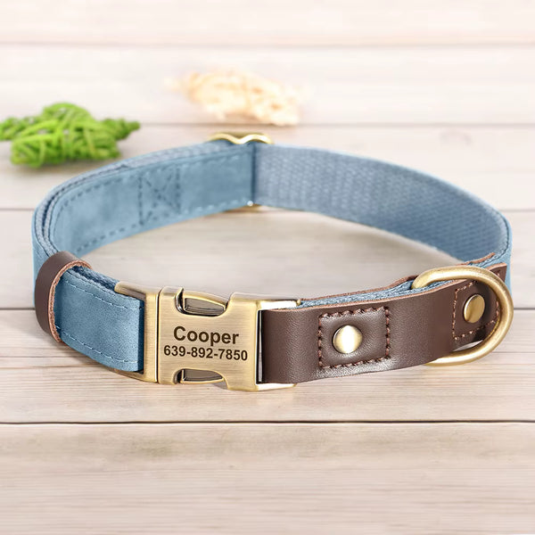 Collier chien personnalisé bleu gris avec boucle dorée gravée prénom et numéro de téléphone, garniture cuir marron ajustable