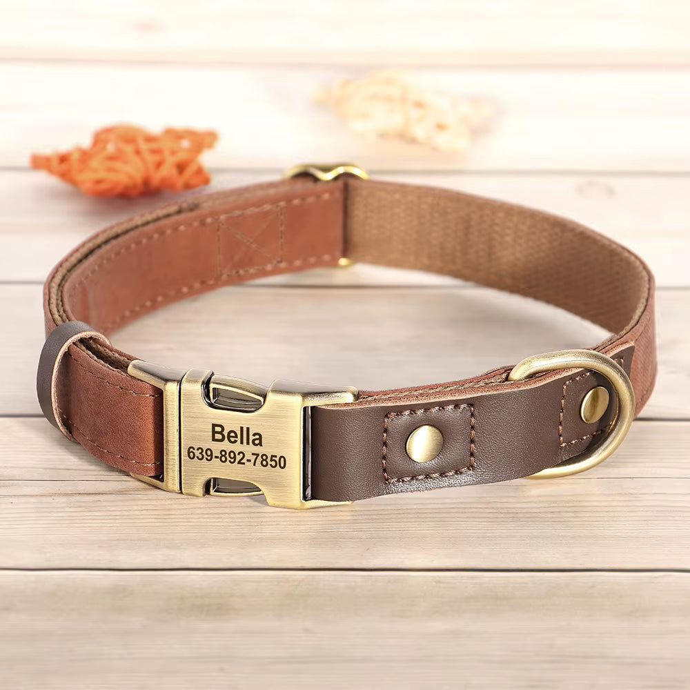 Collier chien personnalisé marron cuir avec boucle dorée gravée prénom et numéro de téléphone, finition élégante et ajustable