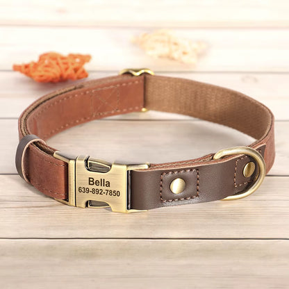 Collier chien personnalisé marron cuir avec boucle dorée gravée prénom et numéro de téléphone, finition élégante et ajustable