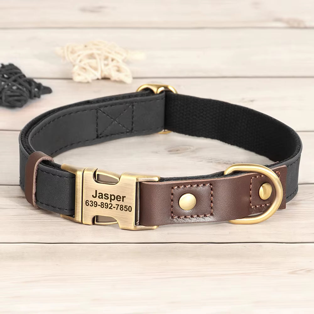Collier chien personnalisé noir avec boucle dorée gravée prénom et numéro de téléphone, garniture cuir marron ajustable