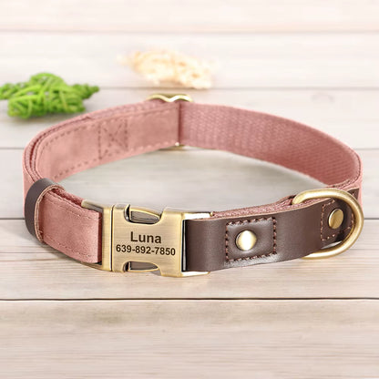 Collier chien personnalisé rose poudré avec boucle dorée gravée prénom et numéro de téléphone, garniture cuir marron ajustable