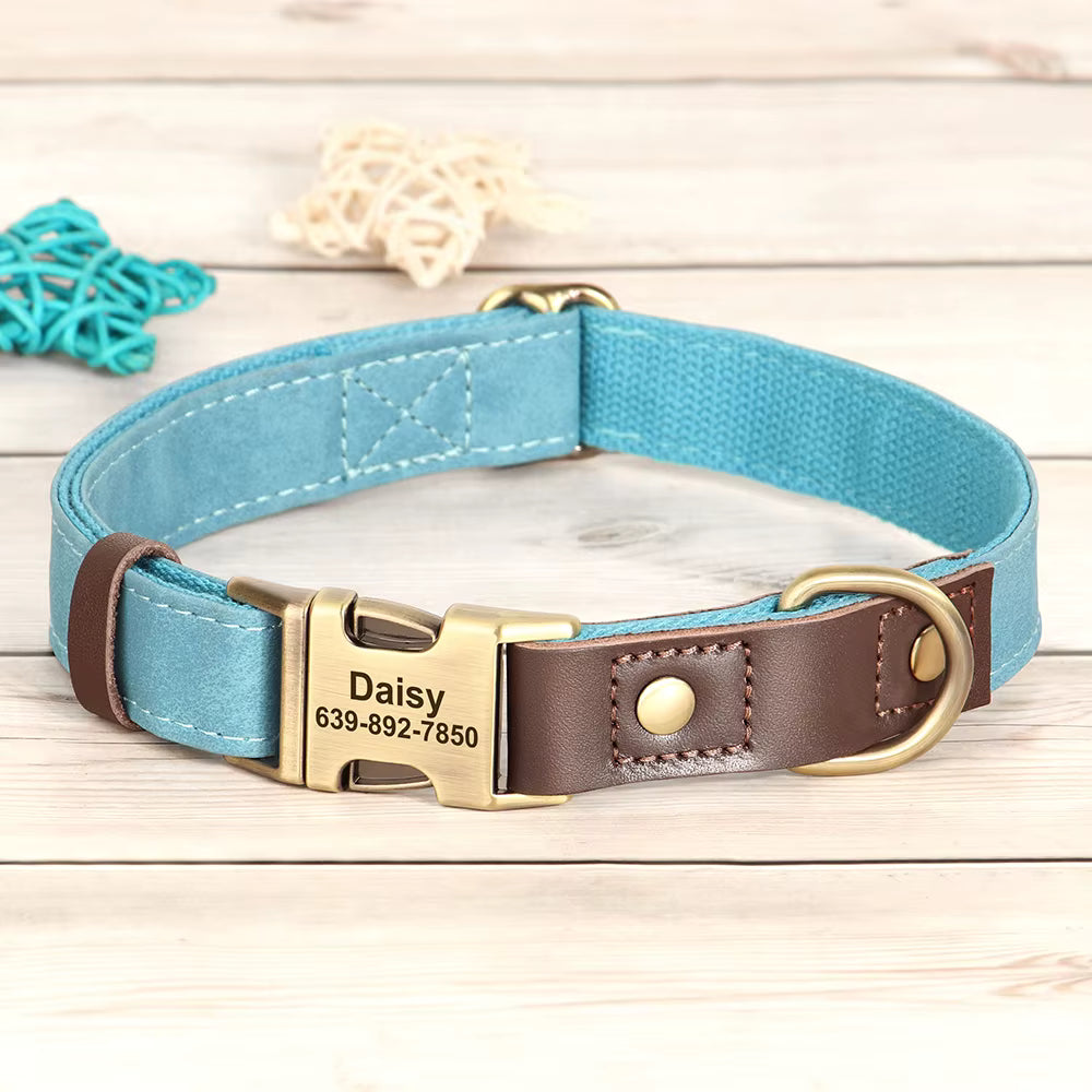 Collier chien personnalisé turquoise avec boucle dorée gravée prénom et numéro de téléphone, garniture cuir marron ajustable