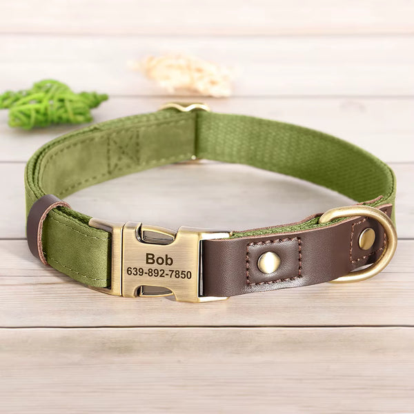 Collier chien personnalisé vert kaki avec boucle dorée gravée prénom et numéro de téléphone, garniture cuir marron ajustable