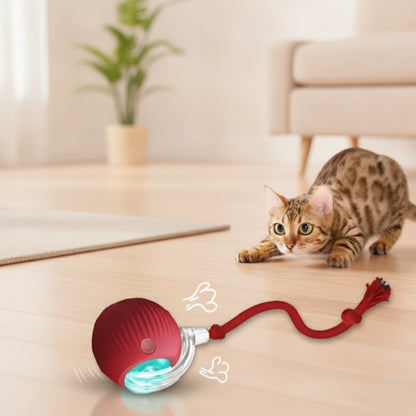 Balle Jouet Électrique Interactive pour Chat