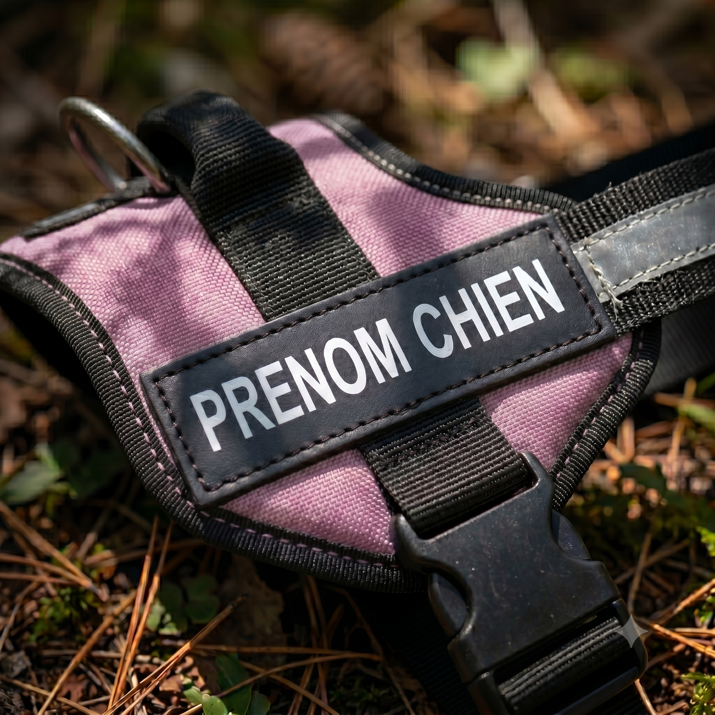 Gros plan sur le patch prénom réfléchissant d'un harnais chien personnalisé mauve et noir posé en extérieur, avec boucle de sécurité et anneau de laisse