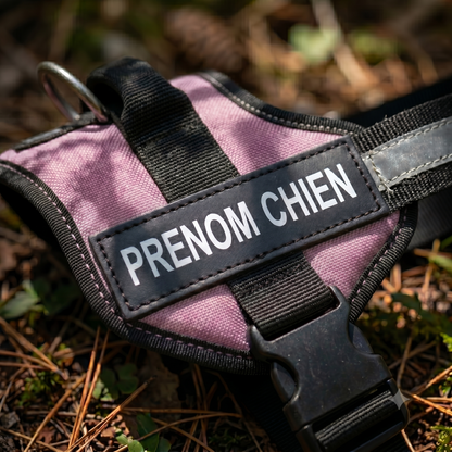 Gros plan sur le patch prénom réfléchissant d'un harnais chien personnalisé mauve et noir posé en extérieur, avec boucle de sécurité et anneau de laisse
