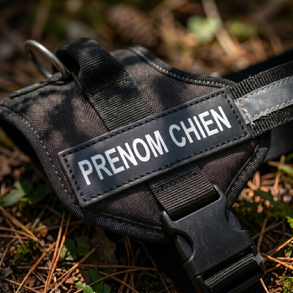 Gros plan sur le patch prénom réfléchissant d'un harnais chien noir personnalisé posé en extérieur, avec boucle de sécurité et anneau de laisse