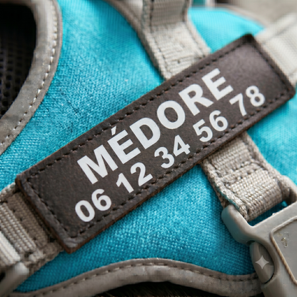 Gros plan sur le patch personnalisé d'un harnais chien turquoise avec prénom et numéro de téléphone brodés pour identification et sécurité