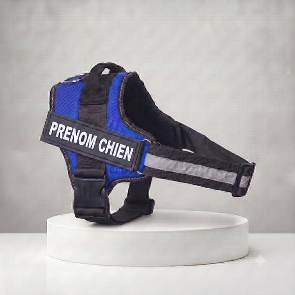 Harnais chien personnalisé bleu et noir avec patch prénom, bande réfléchissante et poignée de maintien, ajustable toutes tailles
