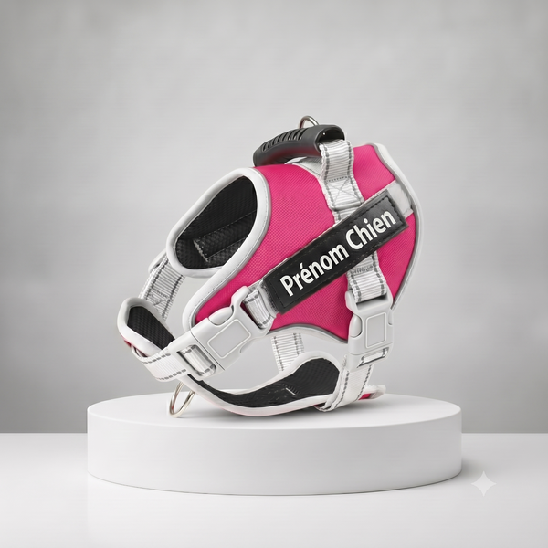 Harnais chien personnalisé fuchsia et blanc avec prénom brodé, rembourré et ajustable, poignée de maintien intégrée