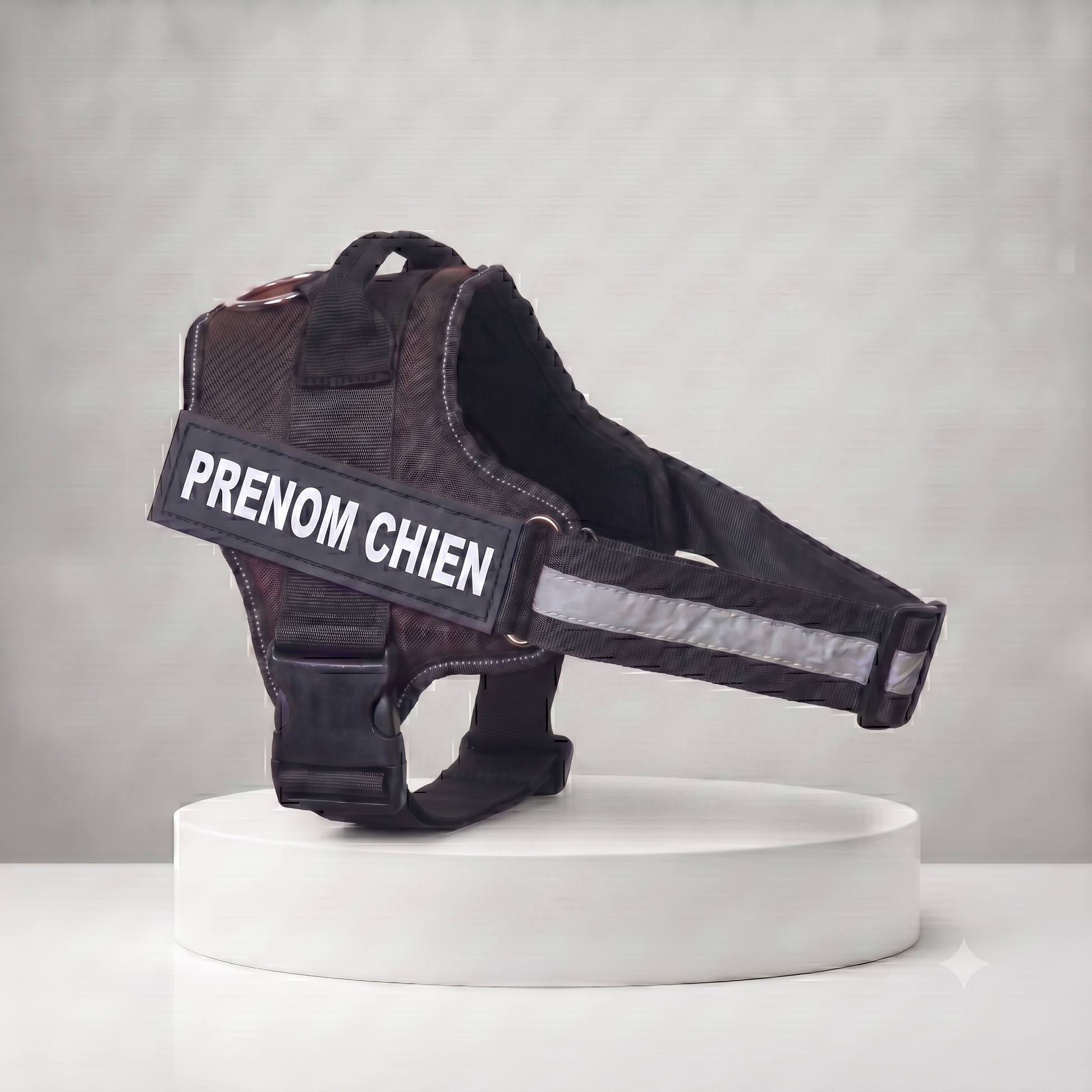 Harnais chien personnalisé noir avec bande réfléchissante, patch prénom brodé et poignée de maintien, ajustable et rembourré
