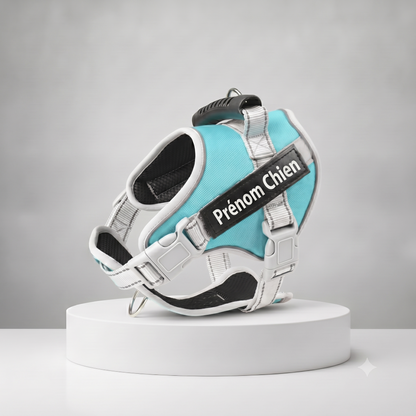 Harnais chien personnalisé turquoise et blanc avec prénom brodé, rembourré et ajustable, poignée de maintien intégrée