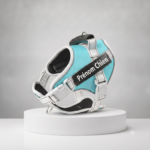 Harnais chien personnalisé turquoise et blanc avec prénom brodé, rembourré et ajustable, poignée de maintien intégrée