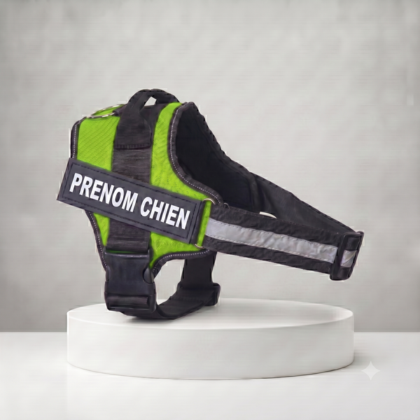Harnais chien personnalisé vert et noir avec patch prénom, bande réfléchissante et poignée de maintien, ajustable toutes tailles