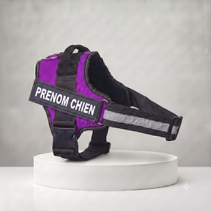 Harnais chien personnalisé violet et noir avec patch prénom, bande réfléchissante et poignée de maintien, ajustable toutes tailles