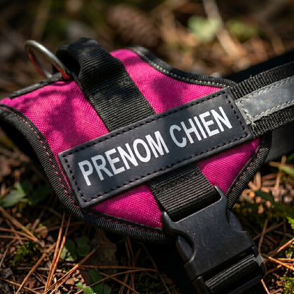 Gros plan sur le patch prénom réfléchissant d'un harnais chien personnalisé rose et noir posé en extérieur, avec boucle de sécurité et anneau de laisse