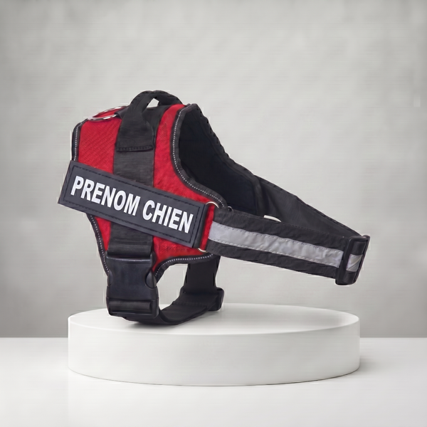 Harnais personnalisé rouge et noir pour chien avec bande réfléchissante et étiquette prénom