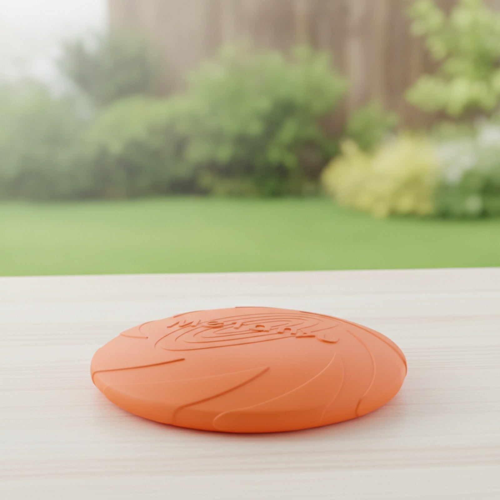 Disque Volant Jouet pour Chien - Jeu d'Extérieur